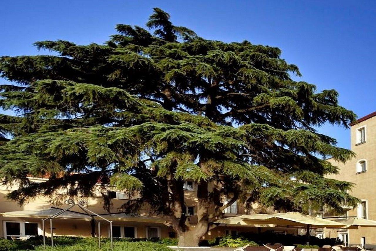 Relais Villa Buonanno Cercola Luaran gambar